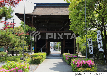 弘法大師・空海開基の寺(池鏡山円鏡寺)・63(岐阜県本巣郡北方町) 弘法大師・空海開基の寺(池鏡山円鏡寺)・63(岐阜県本巣郡北方町) 77397147