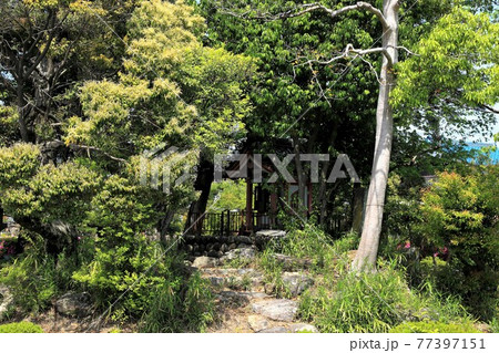 弘法大師・空海開基の寺(池鏡山円鏡寺）・67（岐阜県本巣郡北方町） 77397151
