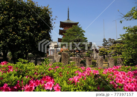 弘法大師・空海開基の寺(池鏡山円鏡寺)・73(岐阜県本巣郡北方町) 弘法大師・空海開基の寺(池鏡山円鏡寺)・73(岐阜県本巣郡北方町) 77397157