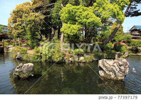 弘法大師・空海開基の寺(池鏡山円鏡寺）・94（岐阜県本巣郡北方町） 77397179
