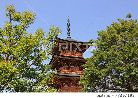 弘法大師・空海開基の寺(池鏡山円鏡寺）・109（岐阜県本巣郡北方町） 77397195