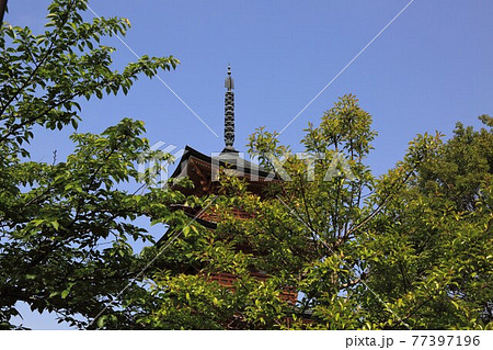 弘法大師・空海開基の寺(池鏡山円鏡寺）・110（岐阜県本巣郡北方町） 77397196