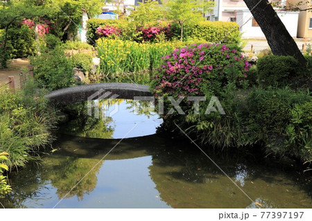 弘法大師・空海開基の寺(池鏡山円鏡寺）・111（岐阜県本巣郡北方町） 77397197