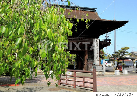 弘法大師・空海開基の寺(池鏡山円鏡寺)・121(岐阜県本巣郡北方町) 弘法大師・空海開基の寺(池鏡山円鏡寺)・121(岐阜県本巣郡北方町) 77397207
