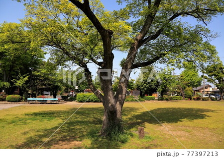 弘法大師・空海開基の寺(池鏡山円鏡寺）・127（岐阜県本巣郡北方町） 77397213