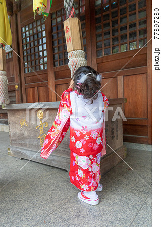七五三 753 3歳 女の子 神社 お詣り 参拝の写真素材 [77397230] - PIXTA