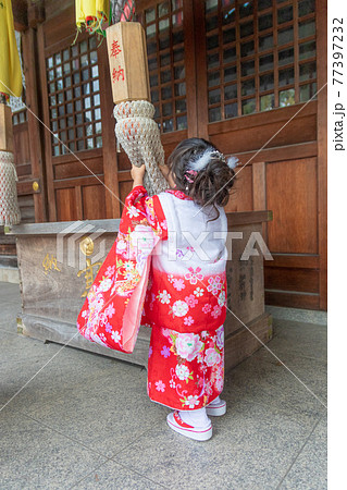 七五三　753　3歳　女の子　神社　お詣り　参拝 77397232