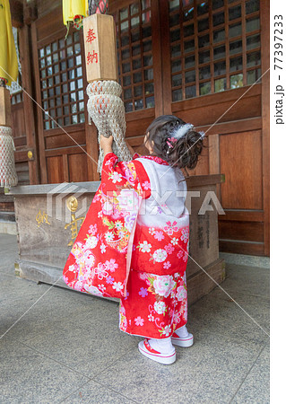 七五三　753　3歳　女の子　神社　お詣り　参拝 77397233
