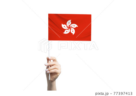 Beautiful female hand holding Hong Kong flag, isolated on white background Beautiful female hand holding Hong Kong flag, isolated on white background 77397413