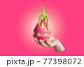 Dragon fruit, pitaya isolated in cropped hand on pink background with gradient. 77398072