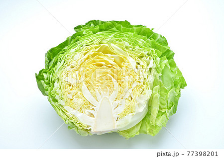 中身の詰まっていない春キャベツの断面。 77398201