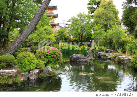 弘法大師・空海開基の寺(池鏡山円鏡寺)・137(岐阜県本巣郡北方町) 弘法大師・空海開基の寺(池鏡山円鏡寺)・137(岐阜県本巣郡北方町) 77398227