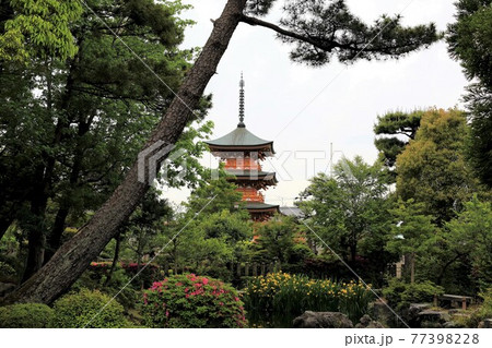 弘法大師・空海開基の寺(池鏡山円鏡寺)・138(岐阜県本巣郡北方町) 弘法大師・空海開基の寺(池鏡山円鏡寺)・138(岐阜県本巣郡北方町) 77398228