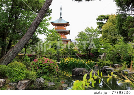 弘法大師・空海開基の寺(池鏡山円鏡寺）・139（岐阜県本巣郡北方町） 77398230