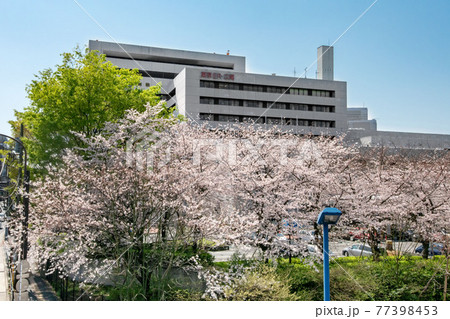 渋谷区恵比寿の東京都立広尾病院 渋谷区恵比寿の東京都立広尾病院 77398453