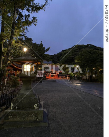 鎌倉鶴岡八幡宮のライトアップ 77398544