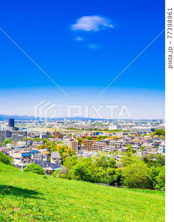 青空が広がる郊外の住宅地　縦構図 77398961