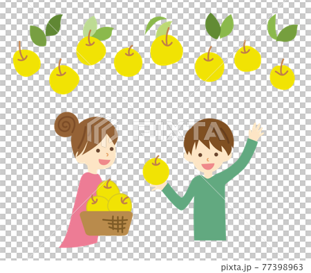 梨狩りをする子供たち 梨狩りをする子供たち 77398963