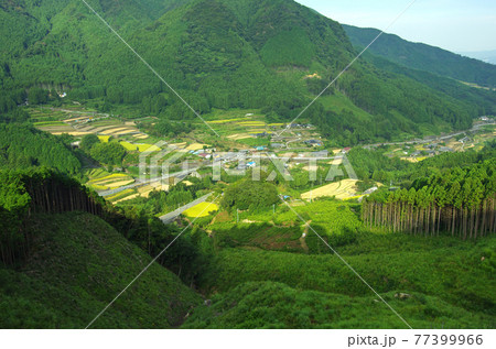 愛媛県黒森峠付近からの眺め 愛媛県黒森峠付近からの眺め 77399966
