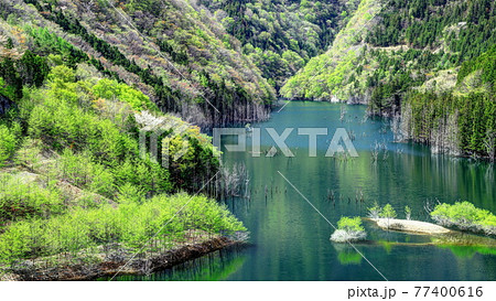 湯西川湖の新緑 湯西川湖の新緑 77400616