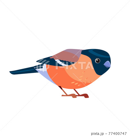 Eurasian Bullfinch sits. Brown bullfinch in the nature habitat. Pyrrhula pyrrhula. Wildlife scene with songbird. Vector cartoon bird character flat style illustration isolated on white background 77400747