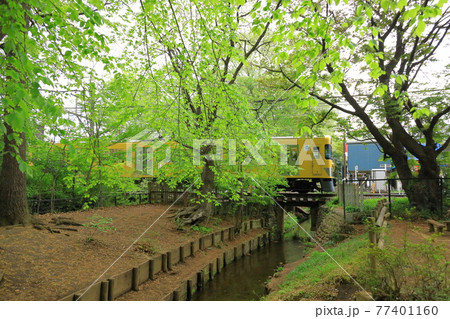 小平市中央公園からの西武線 77401160