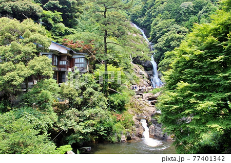紫陽花の名所・見返りの滝 紫陽花の名所・見返りの滝 77401342