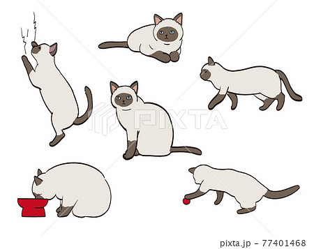 猫 色々なポーズ セット シャム猫のイラスト素材