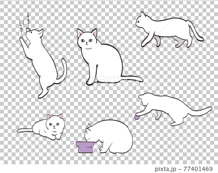 猫　色々なポーズ　セット　白猫 77401469