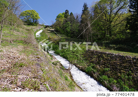信州　小谷村の砂防施設　塩水　日かげ沢　高落差流路工　上部　勾配1/2の斜面に施した石張流路工 77401478