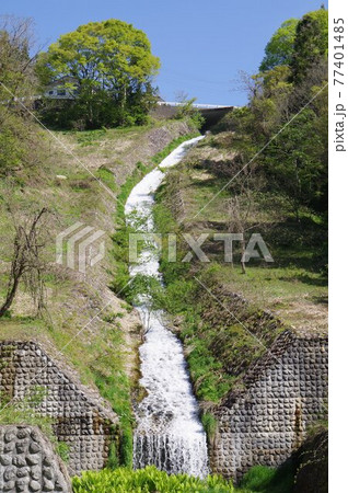 信州 小谷村の砂防施設 塩水 日かげ沢 高落差流路工 正面全景 勾配1/2の斜面に施した石張流路工 信州 小谷村の砂防施設 塩水 日かげ沢 高落差流路工 正面全景 勾配1/2の斜面に施した石張流路工 77401485