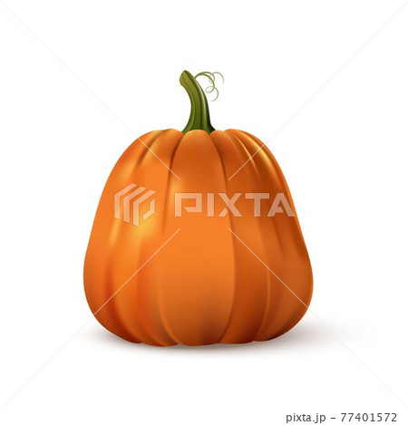 Halloween orange pumpkin. Isolated traditional realistic food. October holiday decoration vector illustration. Autumn spooky decor for fun and celebration. Nature harvest 77401572