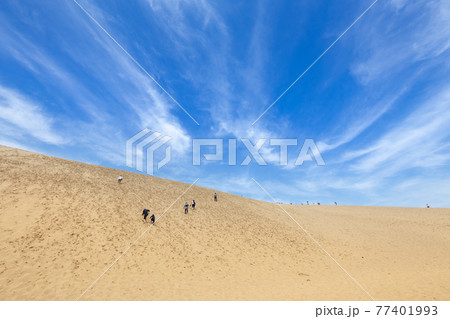 鳥取砂丘 鳥取砂丘 77401993