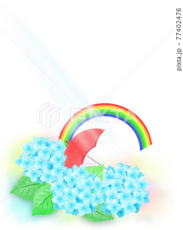 紫陽花。（梅雨イメージ） 77402476