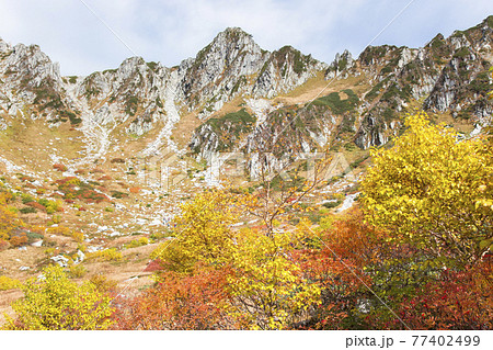 長野県駒ヶ根市 千畳敷カールの紅葉 標高2612mの絶景紅葉スポット の写真素材