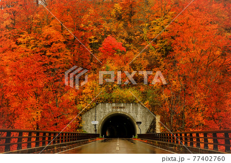 紅葉の鳴子狭 宮城県大崎市 紅葉の鳴子狭 宮城県大崎市 77402760