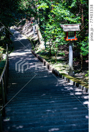 山の参道 山の参道 77403338