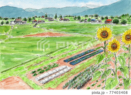 田舎の夏のイラスト素材