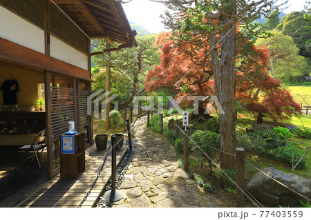 吉川英治記念館 77403559