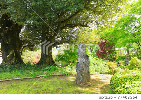 吉川英治記念館 吉川英治記念館 77403564