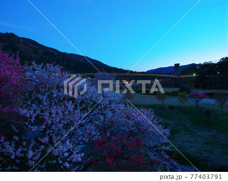 日本最大級の木橋 南木曽町の桃介橋 日本最大級の木橋 南木曽町の桃介橋 77403791