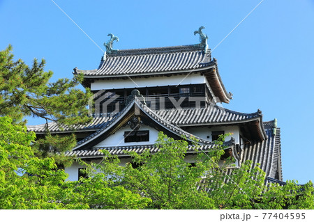 【島根県】快晴下の松江城天守閣(国宝) 【島根県】快晴下の松江城天守閣(国宝) 77404595