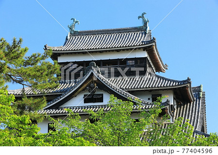 【島根県】快晴下の松江城天守閣(国宝) 【島根県】快晴下の松江城天守閣(国宝) 77404596