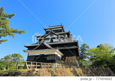 【島根県】快晴下の松江城天守閣（国宝） 77404602