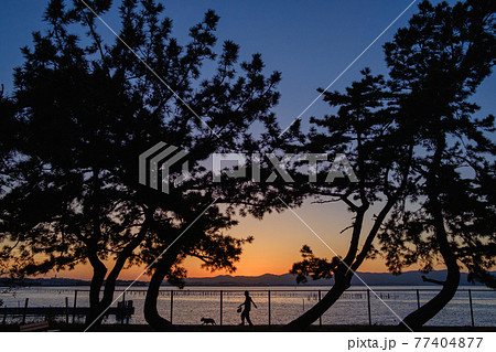 浜名湖　弁天島　夕景 77404877
