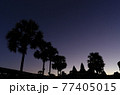 アンコールワットの星空 77405015