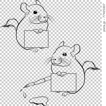cute chinchilla with paper poster vector outline - black and white illustration 77405807
