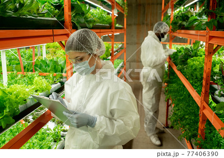 Woman making notes about leaves at vertical farm Woman making notes about leaves at vertical farm 77406390