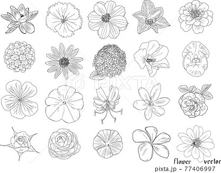 繊細な花の白黒の線画個セット1 ベクター素材のイラスト素材