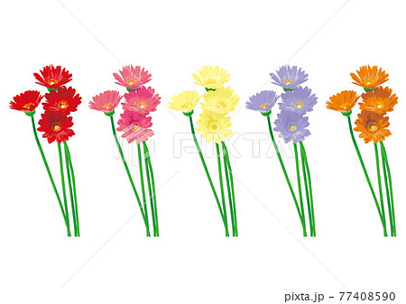 ガーベラの花のイラストのイラスト素材 ガーベラの花のイラストのイラスト素材